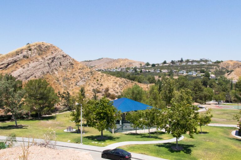 begoniaslanepark4 35499547610 o 768x512