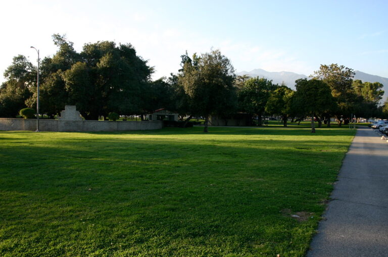 photo73482 1411591178 768x510