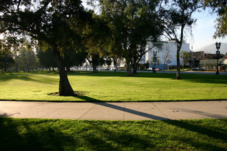 photo32435 932457638 768x510