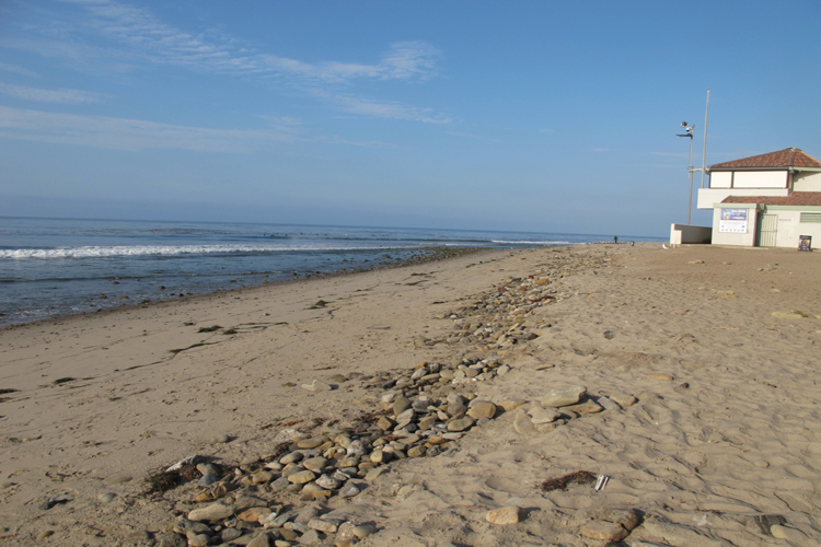 754 11247 1378510415.0628