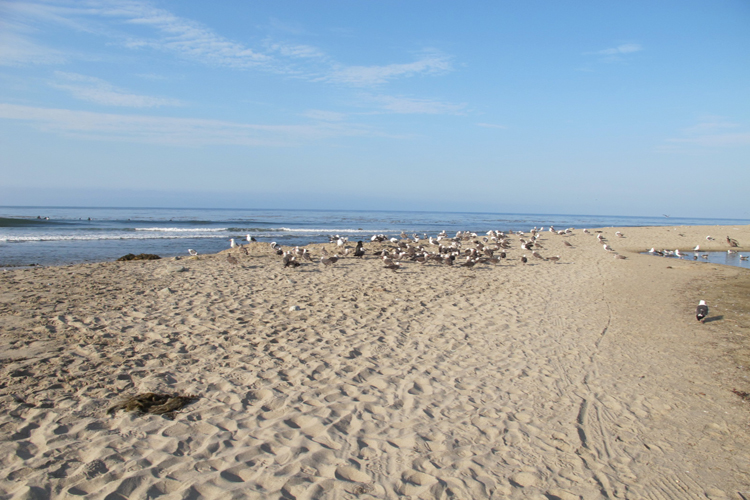 754 11247 1378510418.6807