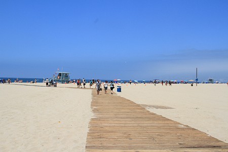 768 11381 1387227227.6494