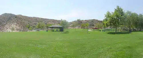 C6112EDE 6B35 40AE 81E2 031D534E3AA4