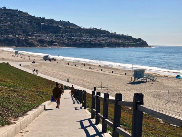 IMG 4950 1024x768 1 768x576