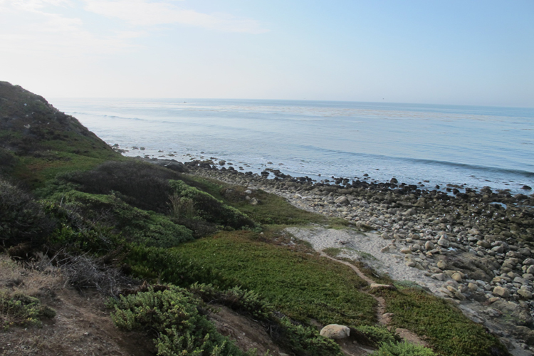 Nicolas Canyon Beach master