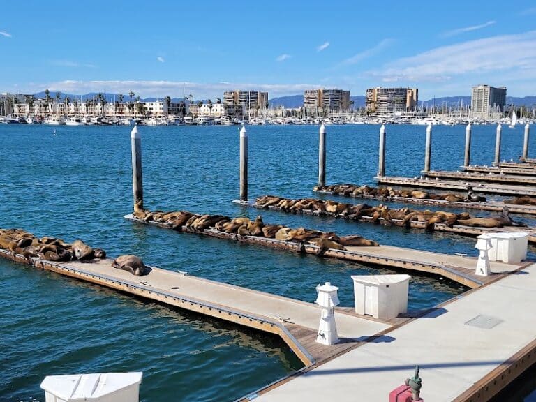 AUacShg0Eapjnb6kT7LykG4YI6fDKf1qHvxLeEdFpa97QYR9lgvpMCGrM8zpSfir201F05Jnzfqs0Jq427eZFAF UCLSjQUrLR3N9AbLVozlieDi2fbLkVR7UpbowoHQQdGMKw49LfLUSMc5pMbkxwnnQFbdwF5Jk 5v1LnKpiuaBcb1cBhp 768x576