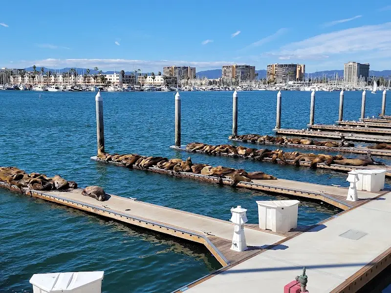 AUacShg0Eapjnb6kT7LykG4YI6fDKf1qHvxLeEdFpa97QYR9lgvpMCGrM8zpSfir201F05Jnzfqs0Jq427eZFAF UCLSjQUrLR3N9AbLVozlieDi2fbLkVR7UpbowoHQQdGMKw49LfLUSMc5pMbkxwnnQFbdwF5Jk 5v1LnKpiuaBcb1cBhp