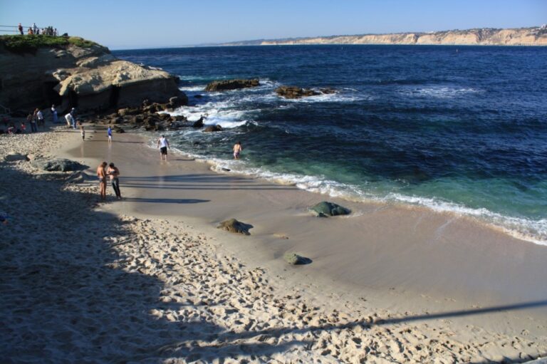 IMG 3337 Large 1000x666 1 768x511