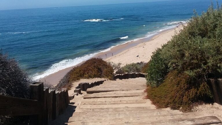 crystal cove state park 1 768x432