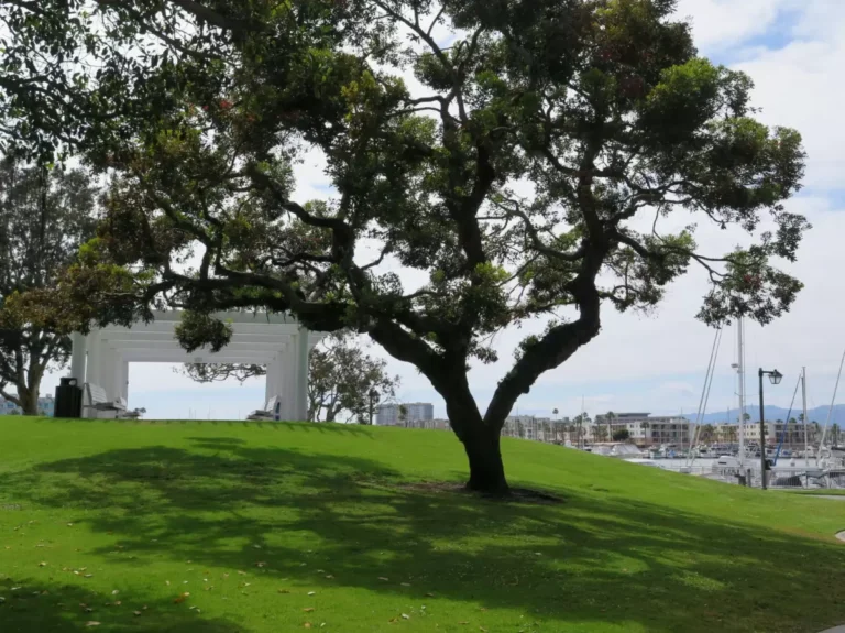 funmaps copyrighted content 768x575