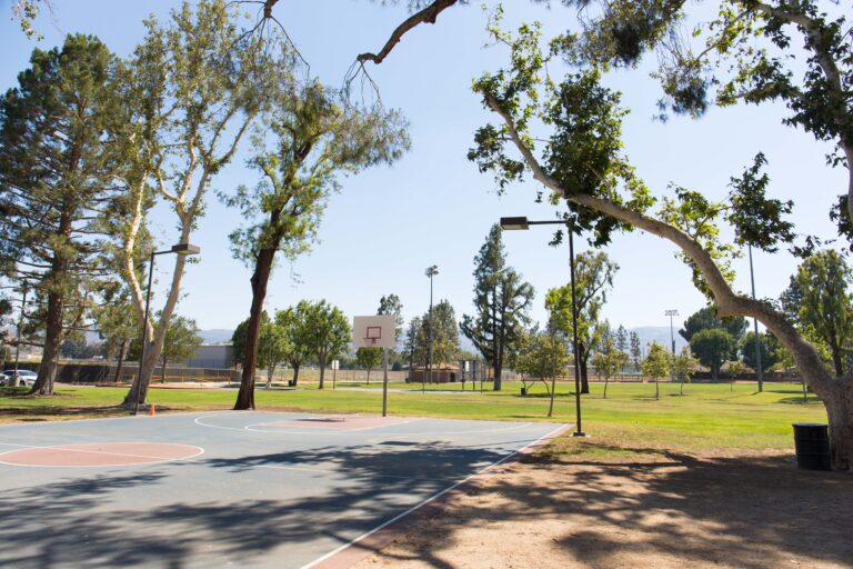 newhall park 35078148303 o 1 768x512