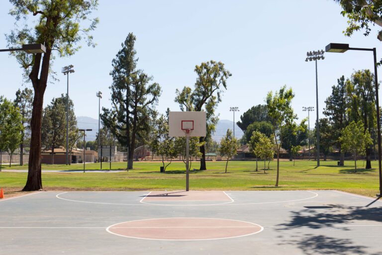 newhall park 35499558580 o 1 768x512