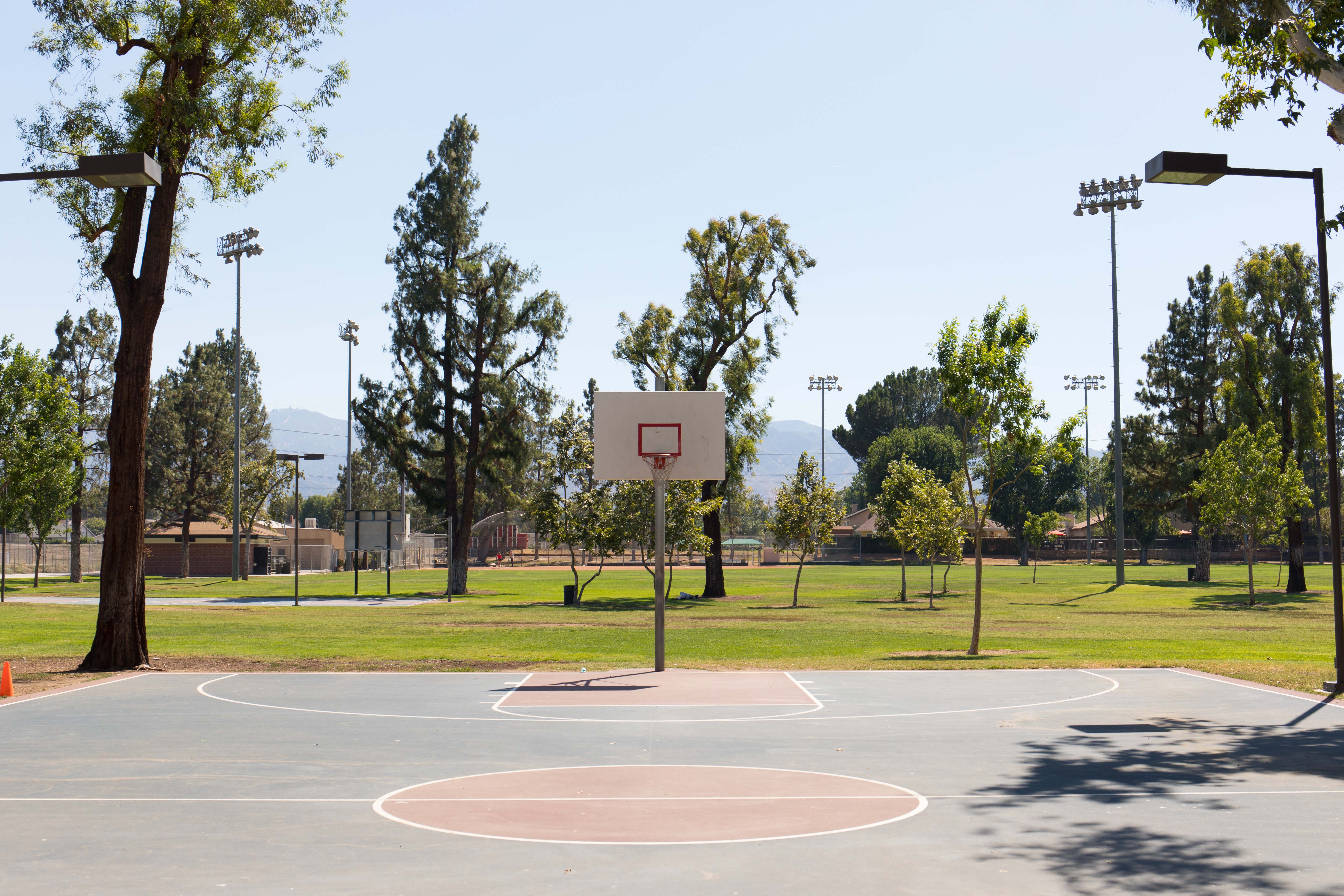 newhall park 35499558580 o 1