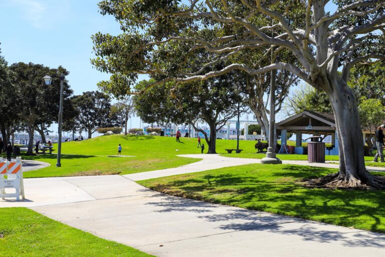 shutterstock 2395157685 6240x4160 v1220x 768x512