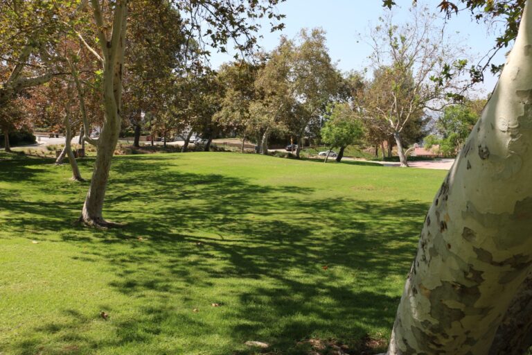 Brace Canyon Park 4 768x512