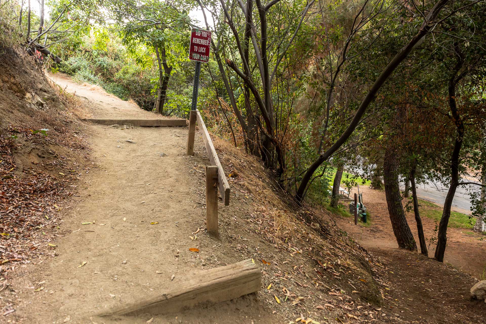 Edison Trail Yellow 5