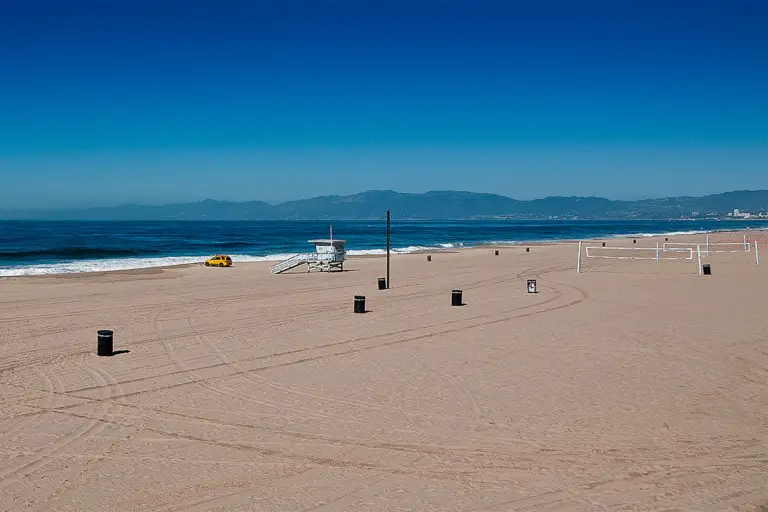 dockwielerbeach3 768x512