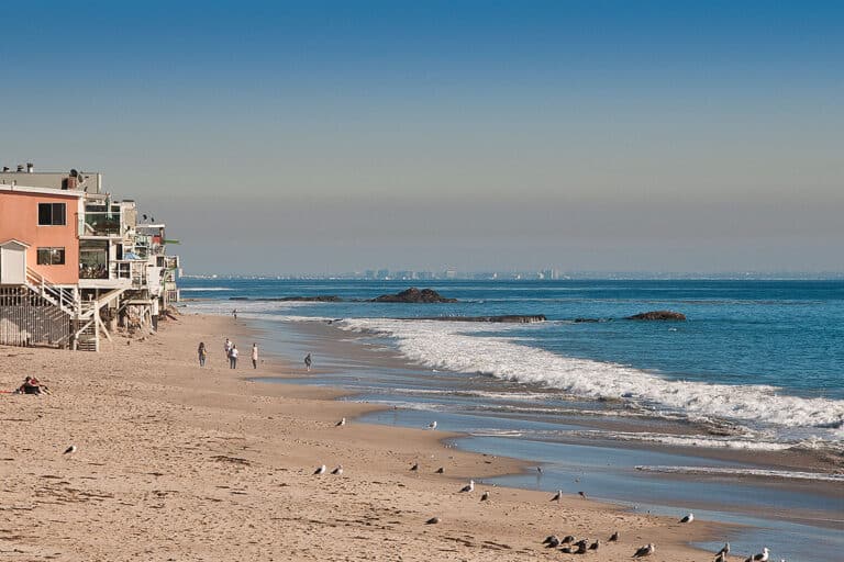 Dan Blocker 2 768x512