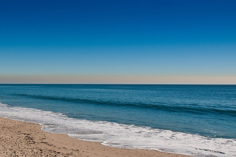 Dan Blocker 6 768x512