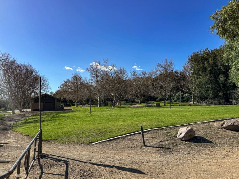IMG 0261 768x576