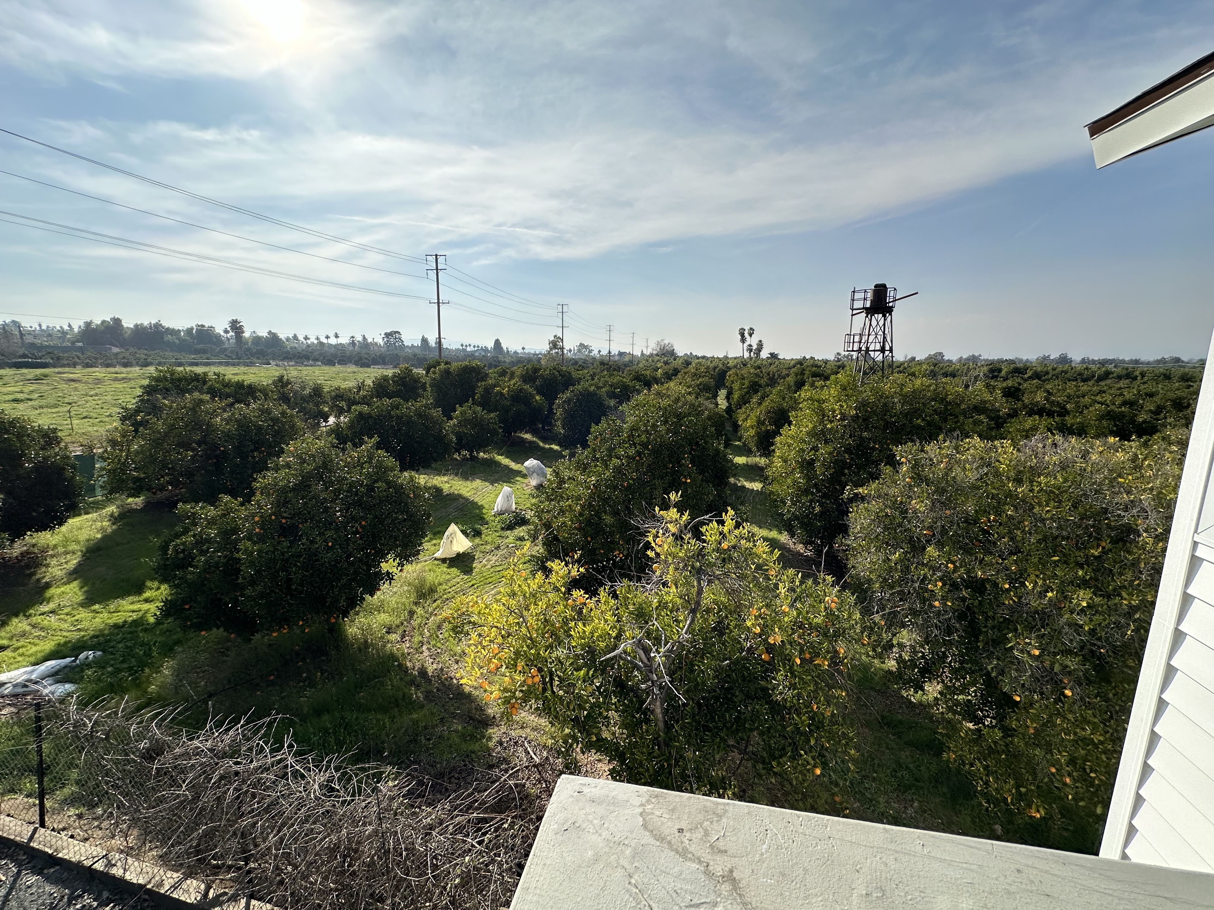 King Street House Redlands 10