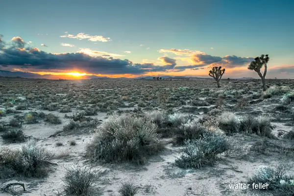 Antelope Valley Film Locations desert backdrop
