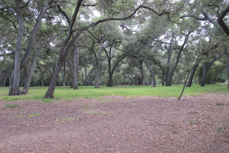 638 9875 1331231564.712