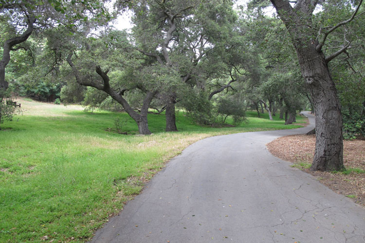 638 9875 1331231565.0252