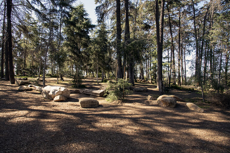 Cedar Grove 3 768x512