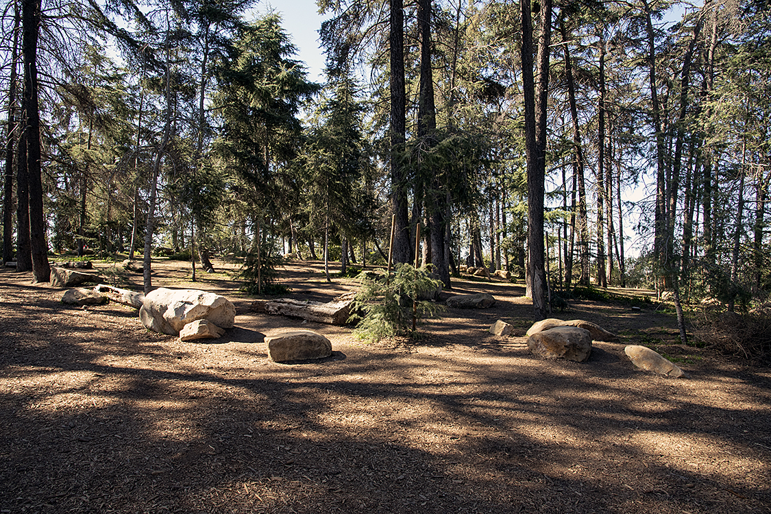 Cedar Grove 3