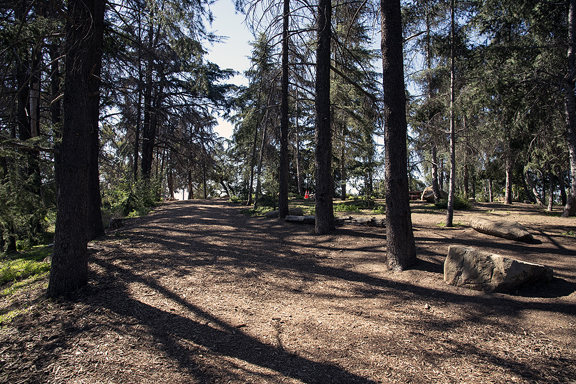 Cedar Grove 6