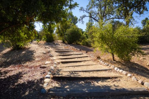 Hart Park 9.4.2025 6 Small 500x333 1