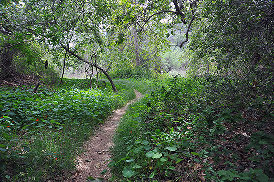 DSC 1474
