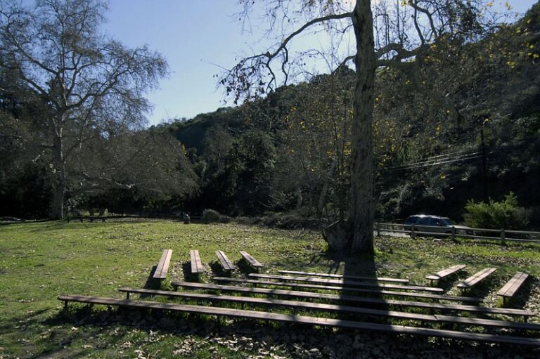 FranklinCyn100 768x511