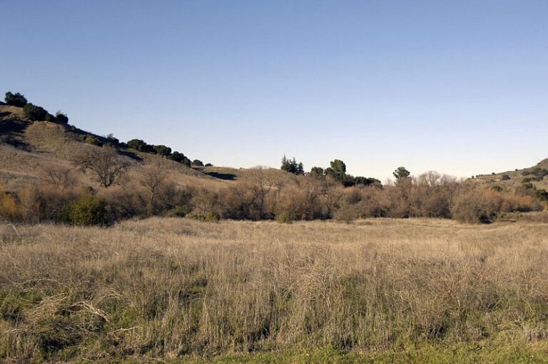 Malibu14 768x510