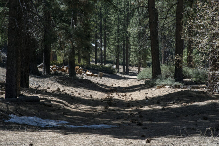 NIK 1905 768x513