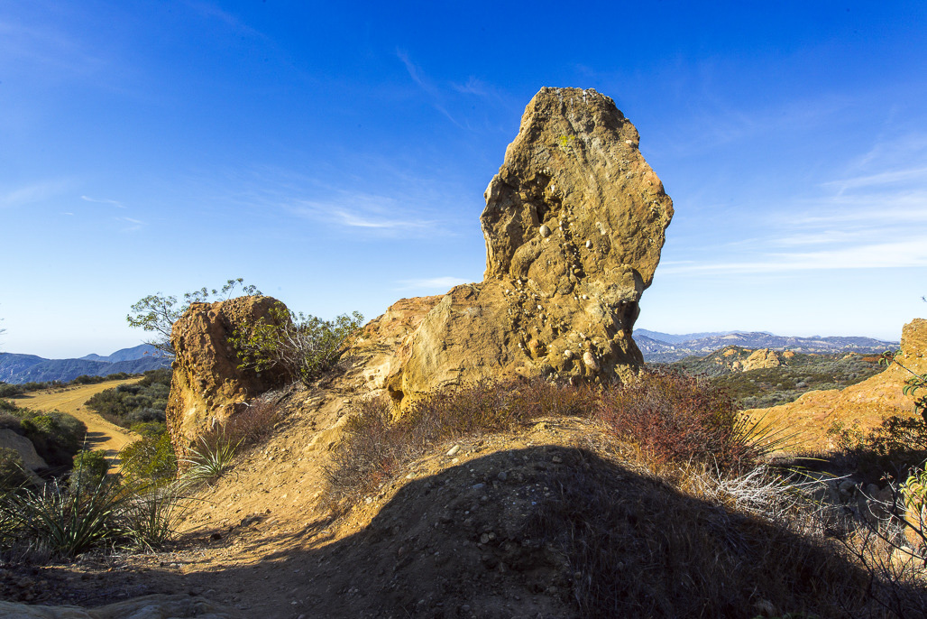 P0085557
