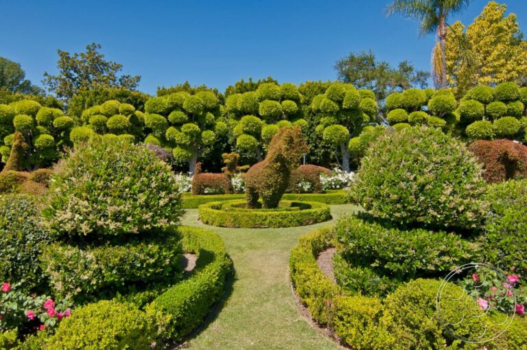pasadena princess 23 768x510