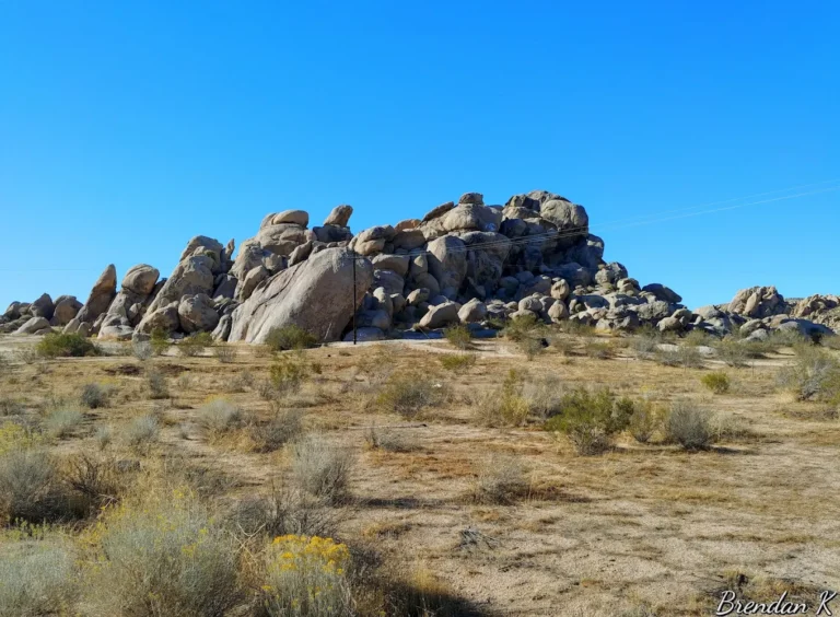 unnamed 2 1 768x564