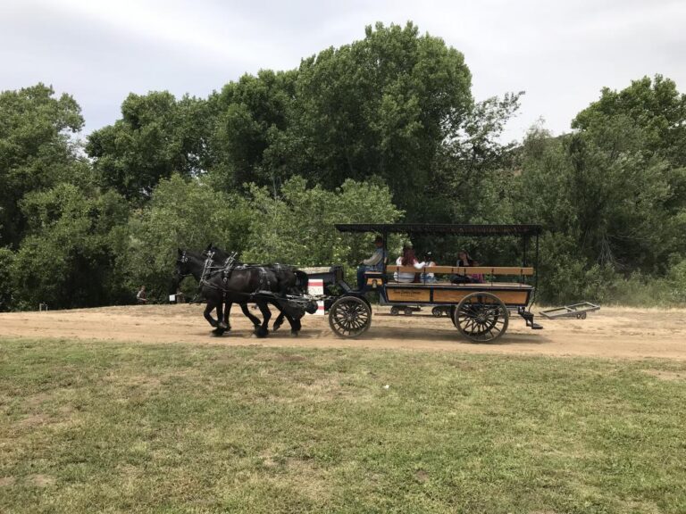 Horsedrawn carriage ride at Gilman 768x576