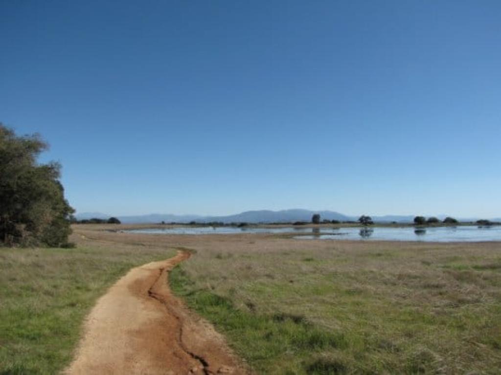 Sylvan Meadows Trail at Sylvan Meadows