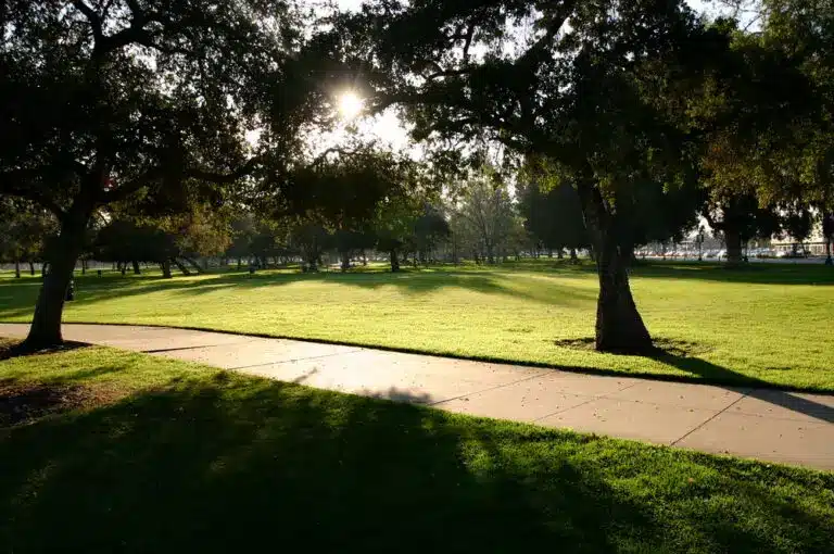 photo52646 3437133888 768x510